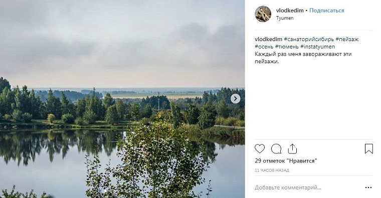 Выходные в соцсетях: дамы на велосипедах и грибные места близ Тюмени