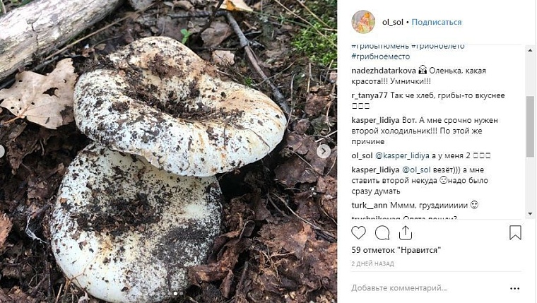 Выходные в соцсетях: дамы на велосипедах и грибные места близ Тюмени