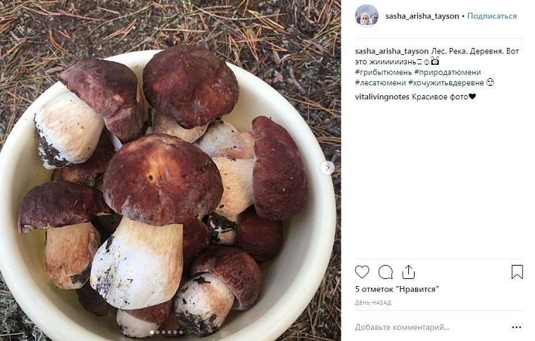 Выходные в соцсетях: дамы на велосипедах и грибные места близ Тюмени