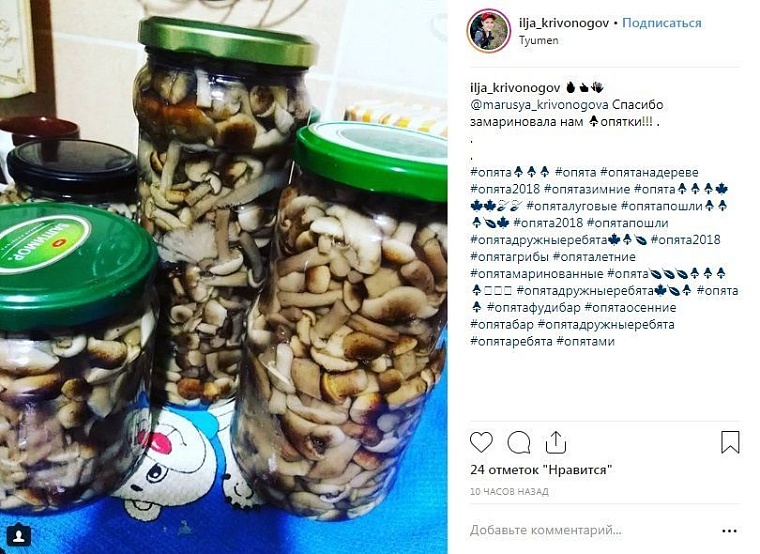 Выходные в соцсетях: дамы на велосипедах и грибные места близ Тюмени