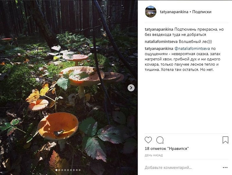 Выходные в соцсетях: дамы на велосипедах и грибные места близ Тюмени