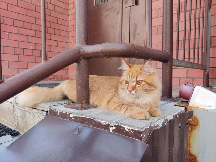 Да будет свет. Что делать, если у вас накопился долг за электричество