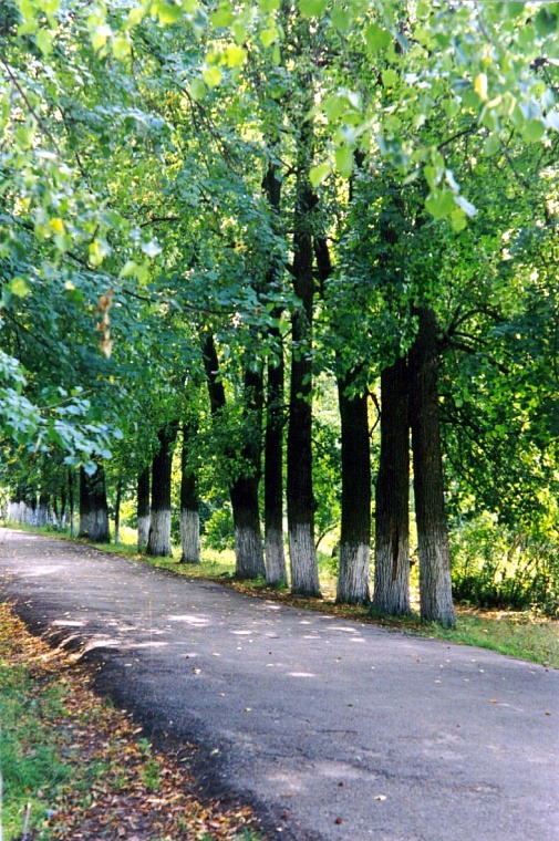 Есть ли у Тюмени «особая» история?