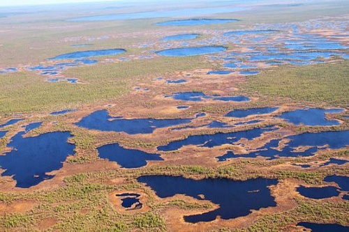 Жители тюменского Заболотья остались без продуктов