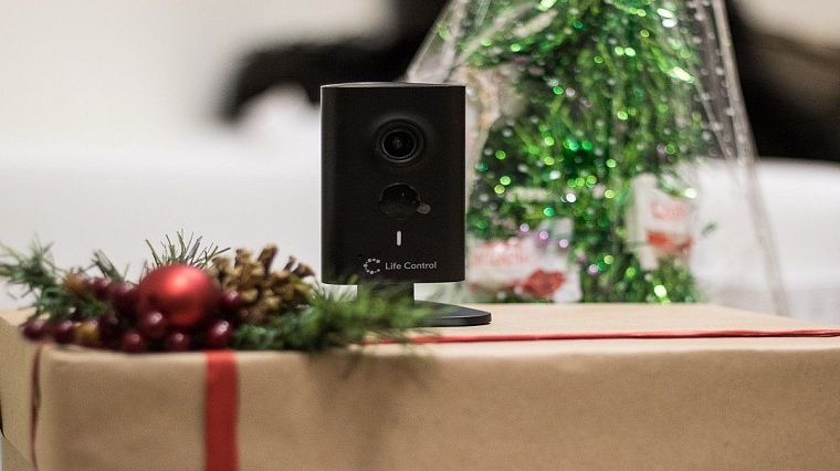 Незримый помощник. Кто присмотрит за квартирой в новогодние праздники?