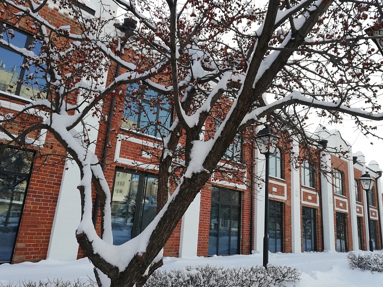 Фото: Вслух.ру