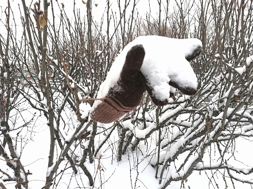 Похолодание в Тюмени 11 января: информация по актировке для школьников