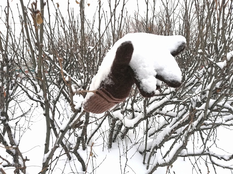 Похолодание в Тюмени 11 января: информация по актировке для школьников