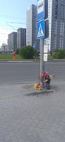 Тюменцы несут цветы к месту гибели девушки и готовят письмо в администрацию