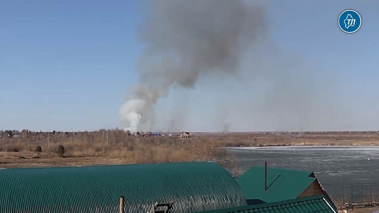 Под Тюменью загорелся сухостой