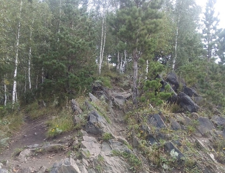 Златоуст – медленный, но верный