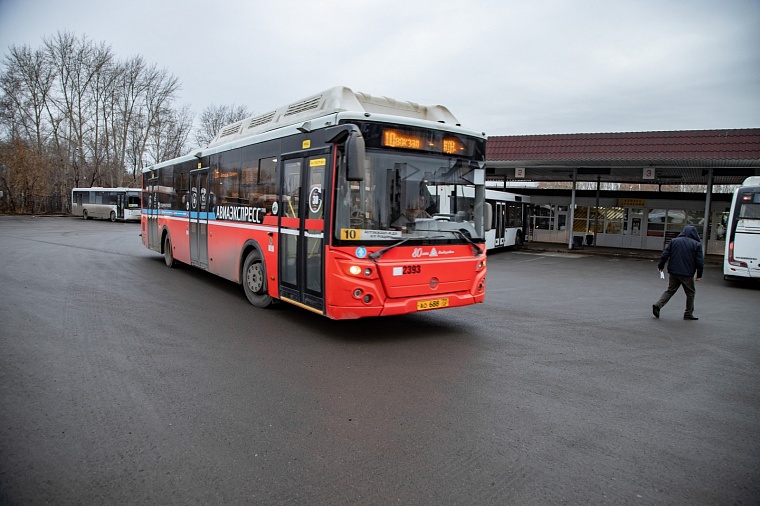 Пешеходные переходы в Тюменской области возьмут под особый контроль