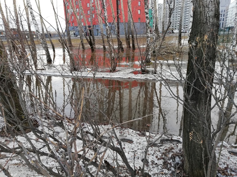 Тюменцы звонят в водоканал с требованием откачать лужи