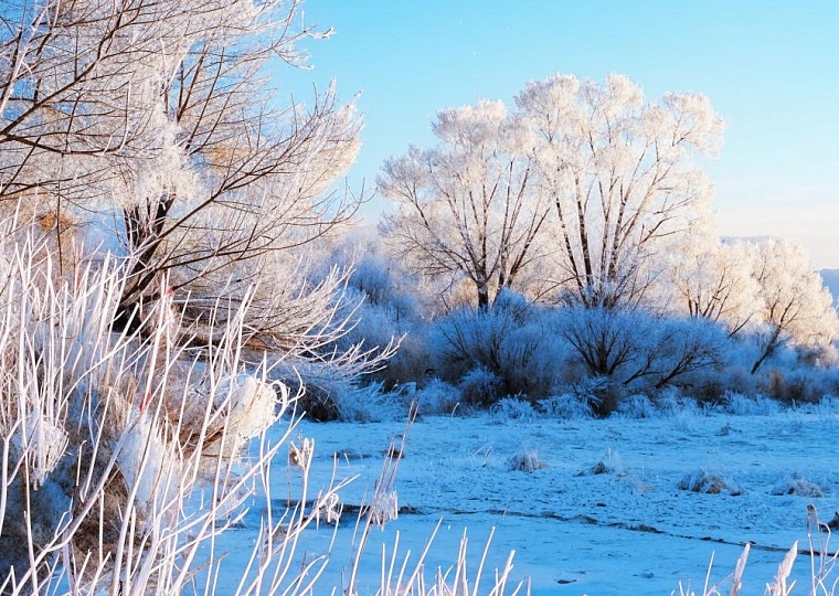 Народные приметы на 10 февраля: по приметам этого дня судили о лете