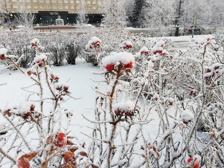 Фото: Вслух.ру