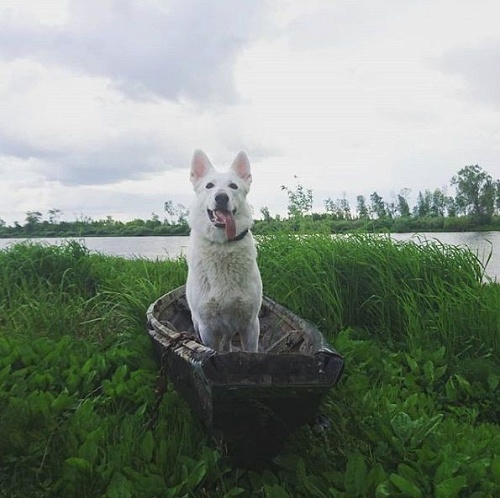 Выходные в соцсетях: тюменцы болеют за сборную, Миронов и Боярская приехали в Тобольск