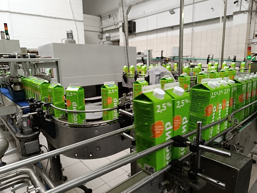 На тюменском молокозаводе нашли 11 тонн нелегальной продукции