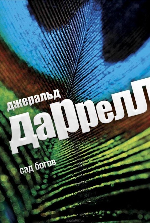 Книжная полка: 5 книг для семейного чтения летом