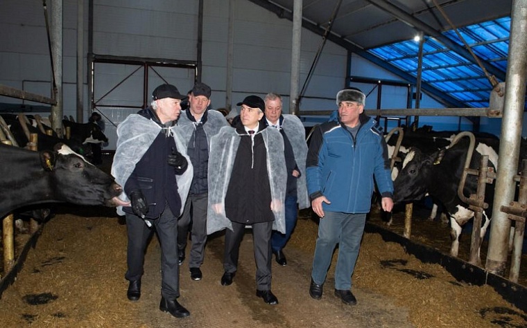 Ферма в Нижнетавдинском районе демонстрирует пример эффективного использования мер региональной поддержки