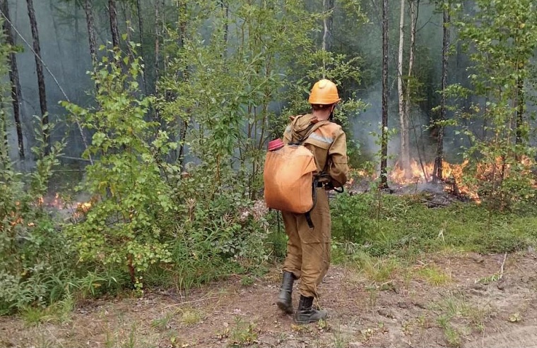 В объятьях таёжных пожаров