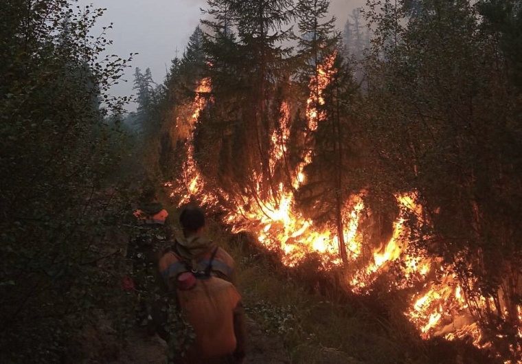 В объятьях таёжных пожаров