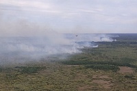 Тушить пожары в Рязанской области отправились еще два тюменских летчика-наблюдателя