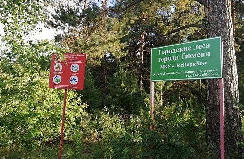 К ликвидации лесных пожаров в Тюменской области планируется привлечь более 2,5 тыс. человек