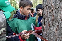 Школьные лесничества Тюменской области встретятся на слете