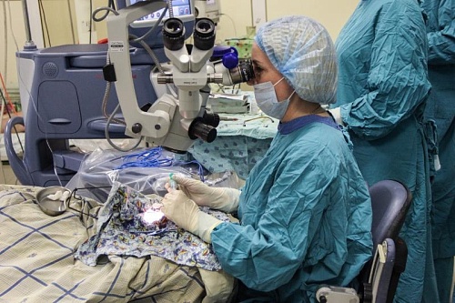 Тюменец месяц ходил с инородным телом в глазу, пока не ослеп