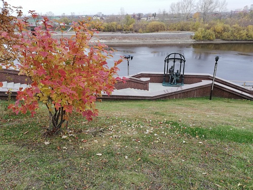 В Тюмени после снега ожидается потепление