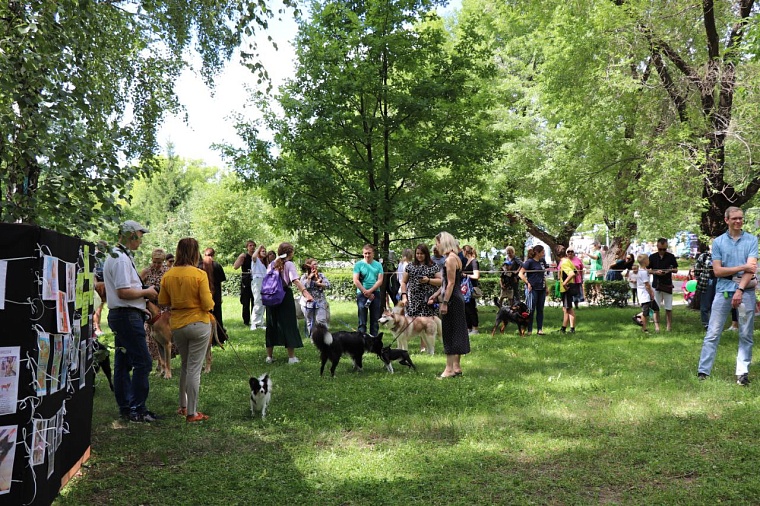 В День города тюменцы поставили необычный рекорд