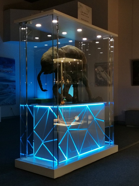 Как тюменская семья Авдеевых создает волшебные витражи и люстры