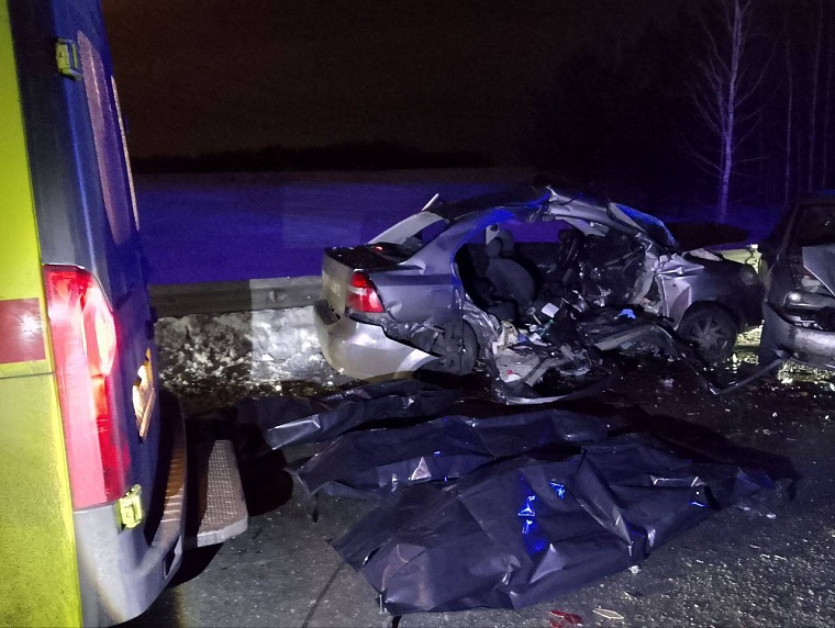 В жуткой аварии под Каменкой погибли двое взрослых и двое детей