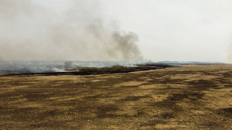 Фото: Юрий Шестак