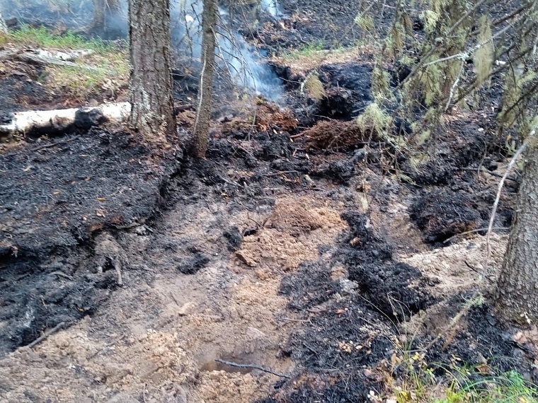 Тюменские пожарные-десантники: Когда огонь шел на нас, мы отступали к реке