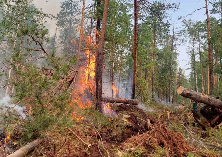 Тюменские пожарные-десантники: Когда огонь шел на нас, мы отступали к реке