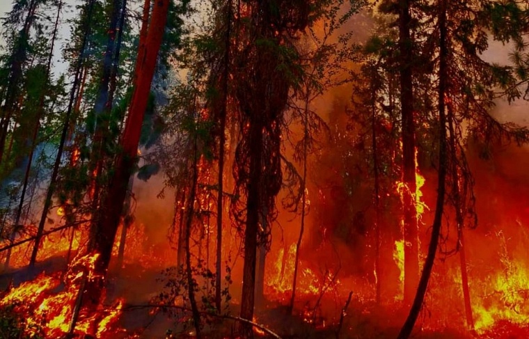 Тюменские пожарные-десантники: Когда огонь шел на нас, мы отступали к реке