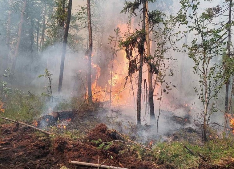 Тюменские пожарные-десантники: Когда огонь шел на нас, мы отступали к реке