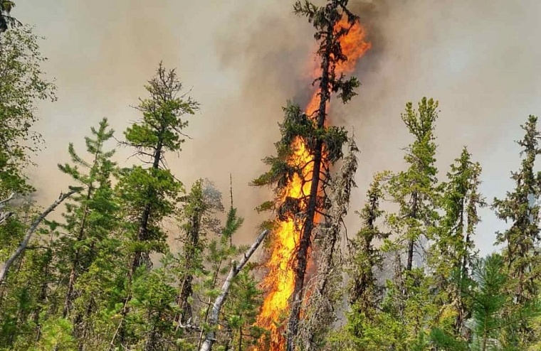 Тюменские пожарные-десантники: Когда огонь шел на нас, мы отступали к реке