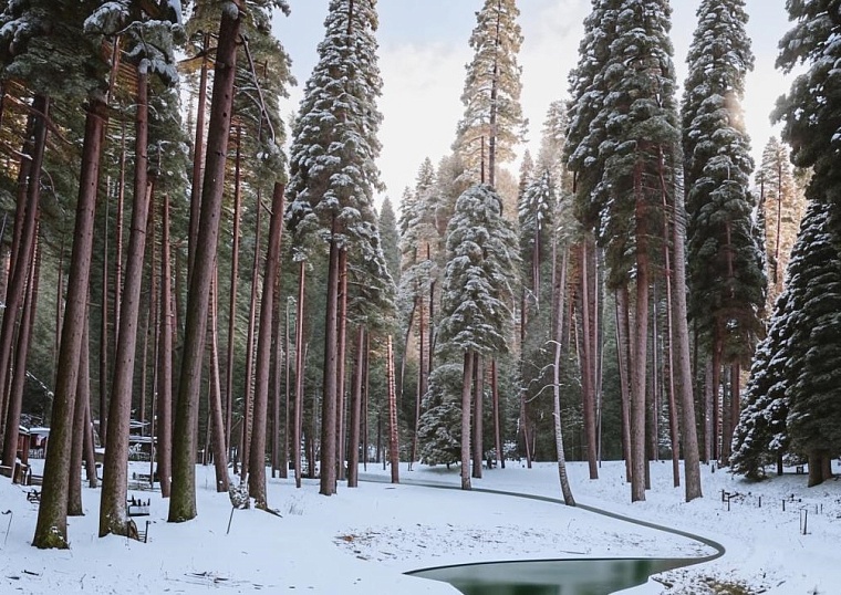 Народные приметы на 17 февраля: редкий год на Руси в этот день не было морозов