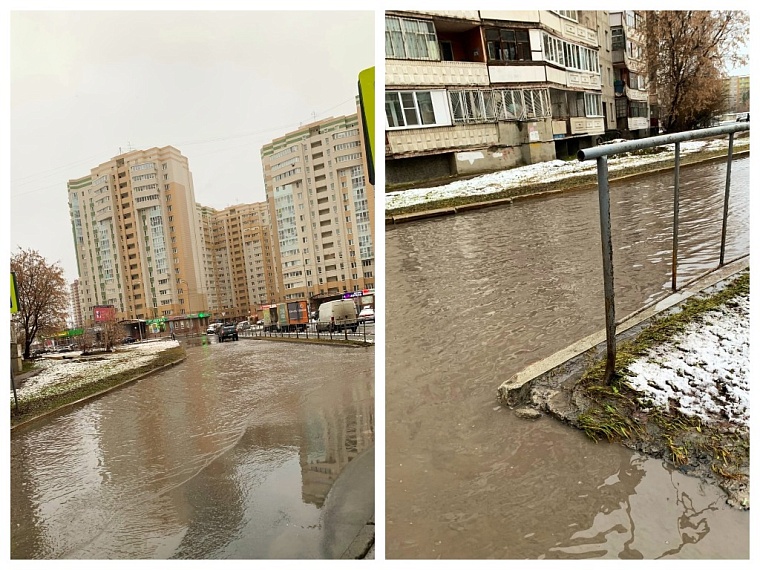 фото Луизы Тарасовой