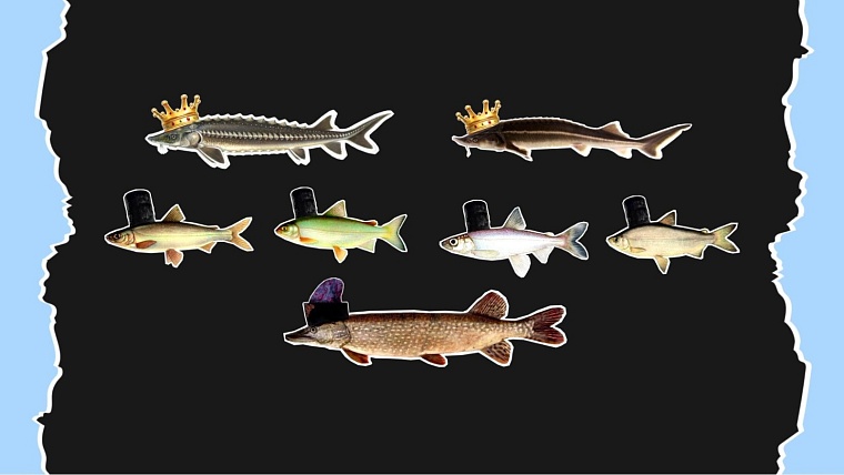 Абалакский рыборазводный завод разработал туристический маршрут