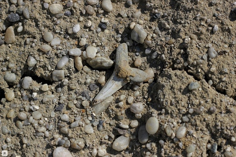 Идея на выходные. Уральская Сахара