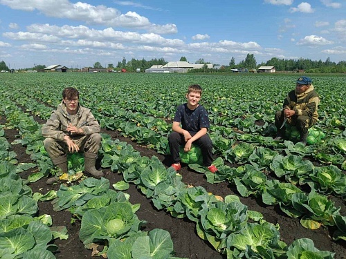 В Тюменской области назвали самые популярные вакансии у подростков на лето