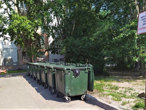 В Березняках поймали мужчину, который поленился выбросить мусор в баки