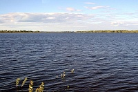 Озеро Большой Уват в Вагайском районе возьмут под охрану