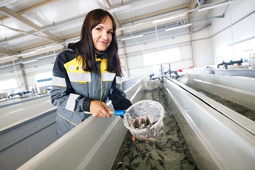 Нефтяники Югры спасают леса и восстанавливают экосистемы