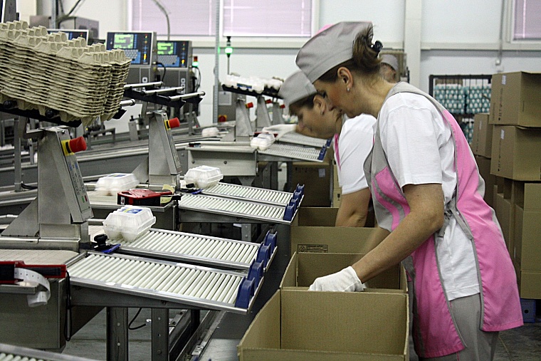 Важная птица