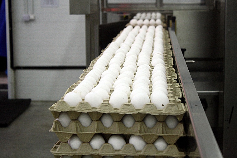 Важная птица