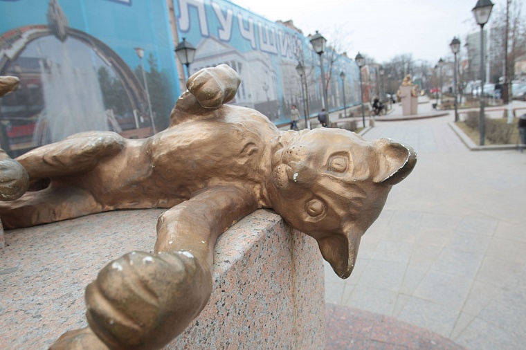 Тюменцы выберут территории для благоустройства в 2024 году